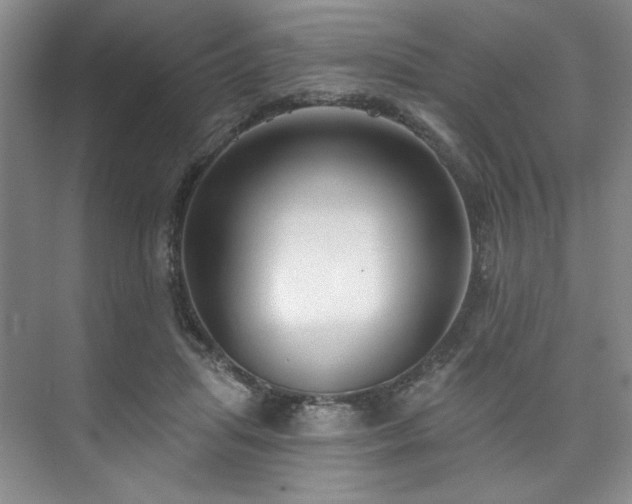 X0000073760455200608031538