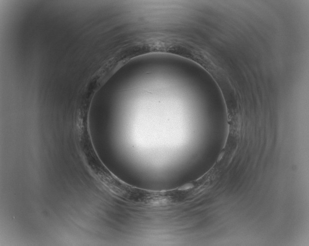 X0000073760456200608031538