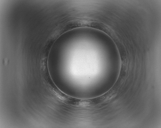 X0000073760462200608031538