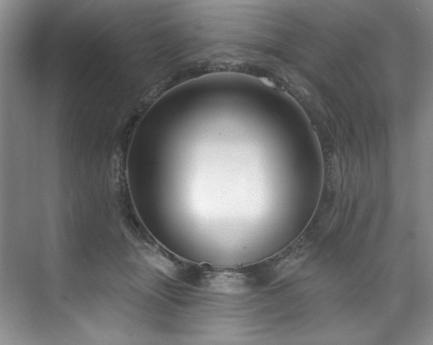 X0000073760463200608031538