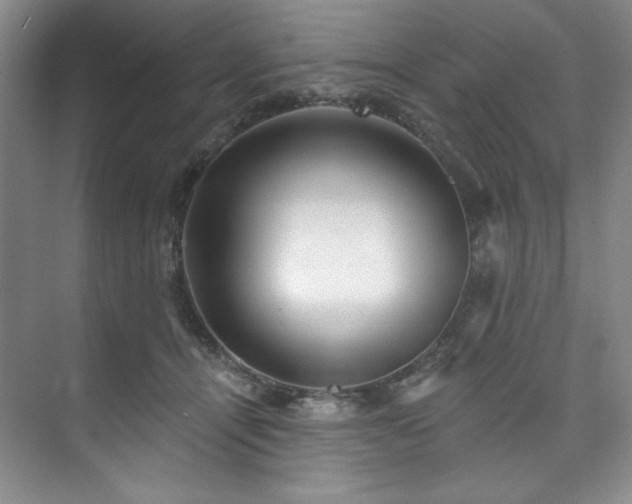 X0000073760464200608031538