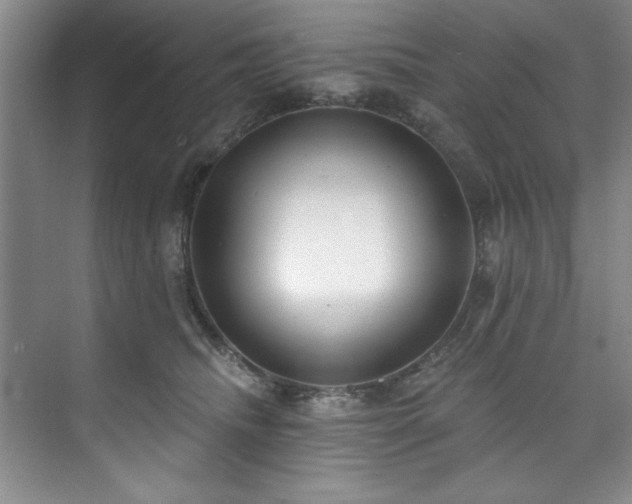 X0000073760468200608031538