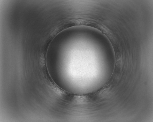 X0000073760469200608031539