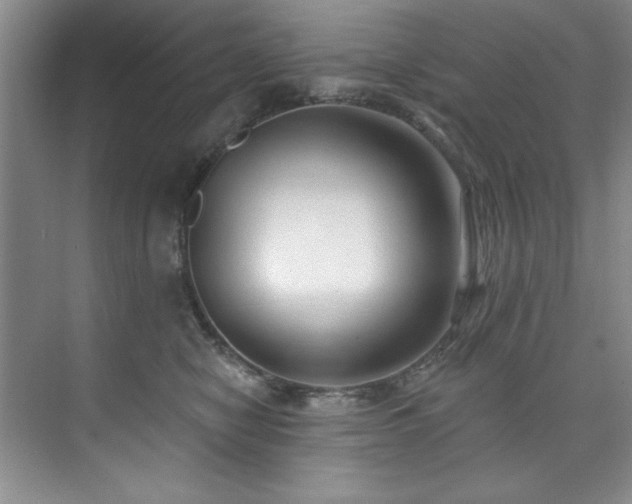 X0000073760470200608031539