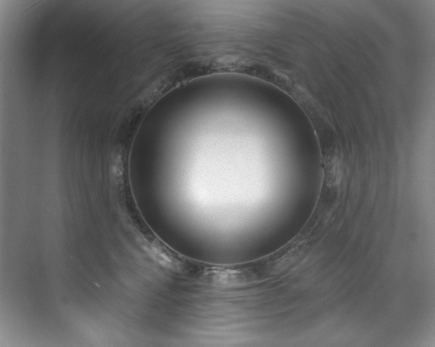 X0000073760472200608031539