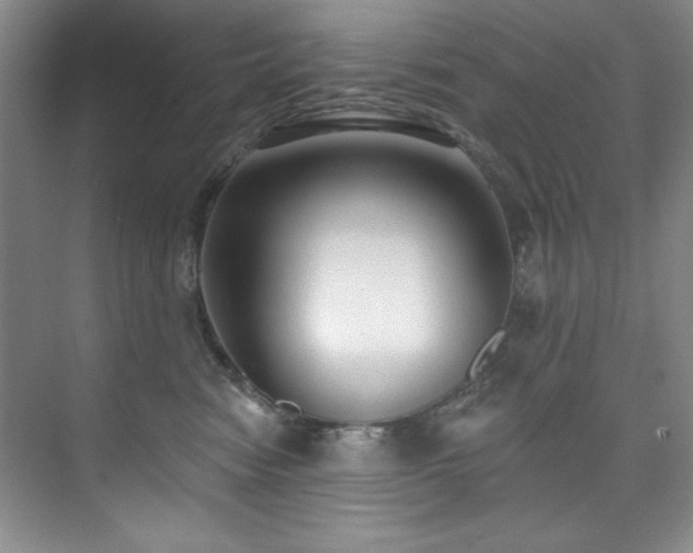 X0000073760474200608031539