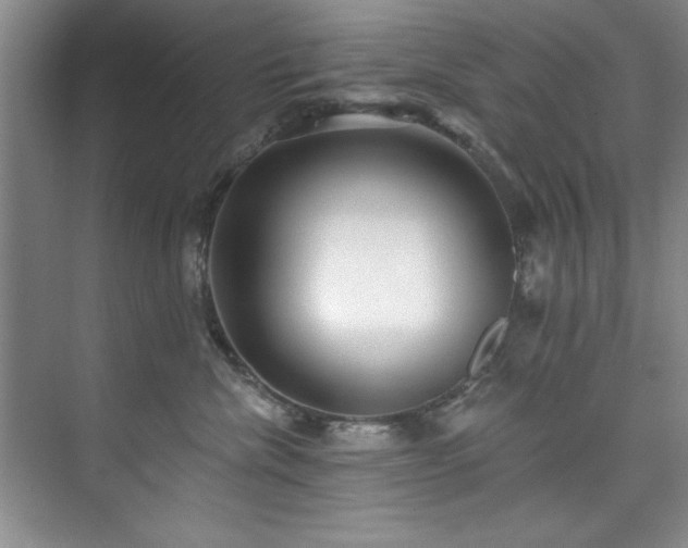 X0000073760476200608031539