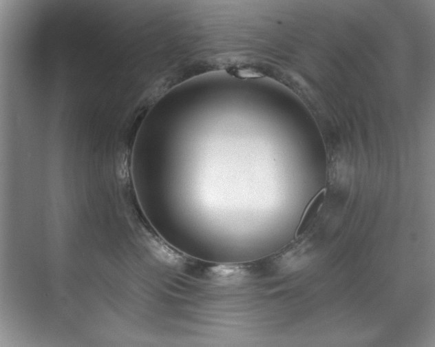 X0000073760477200608031539