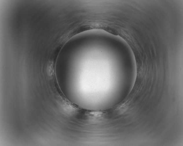 X0000073760478200608031539