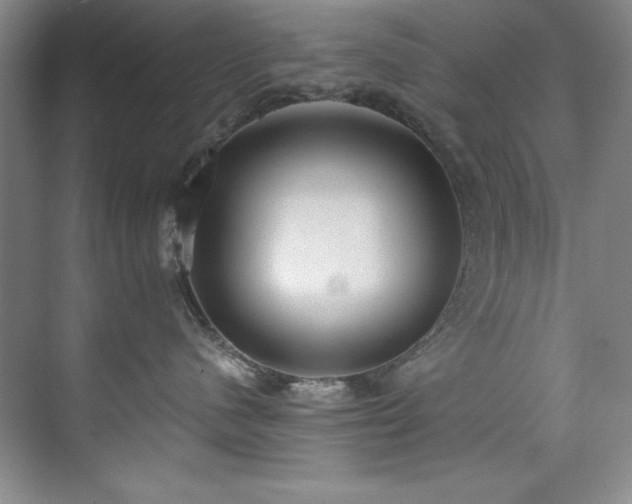 X0000073760480200608031539