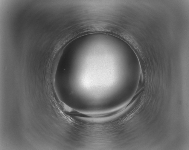 X0000073760481200608031538