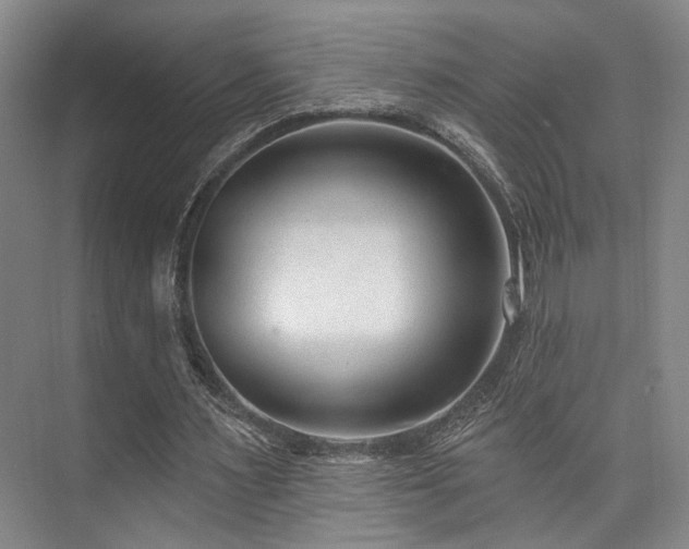 X0000073760483200608031538