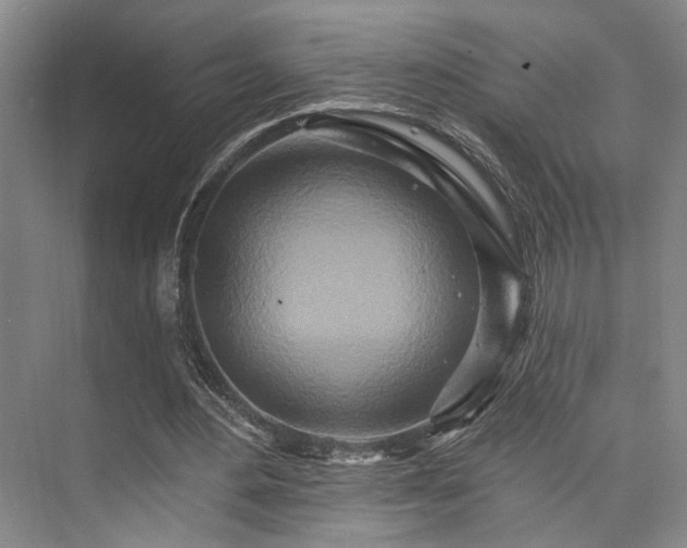 X0000073760484200608031538