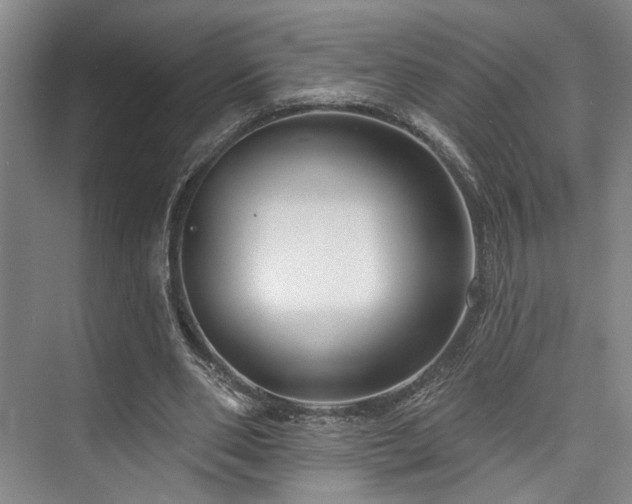 X0000073760486200608031538