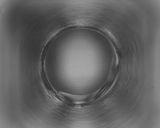 X0000073760488200608031538