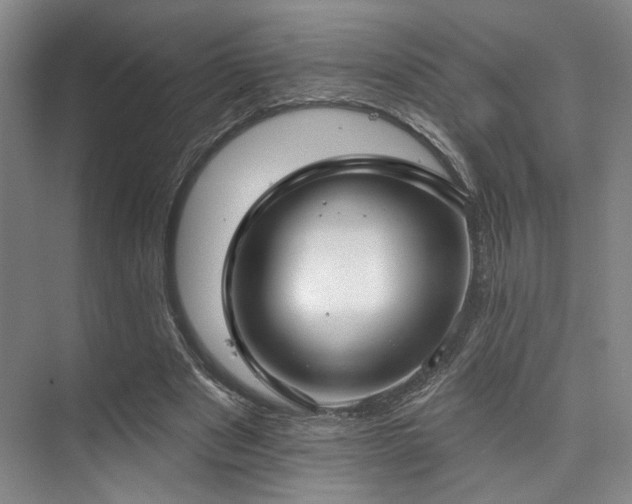 X0000073760489200608031538