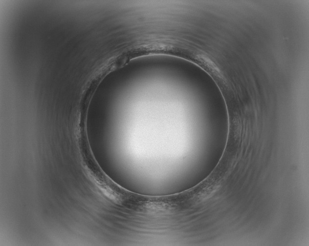 X0000073760490200608031538