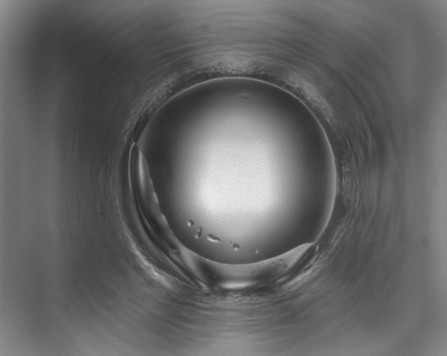 X0000073760493200608031538