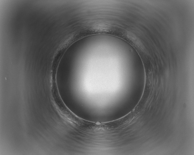 X0000073760494200608031538