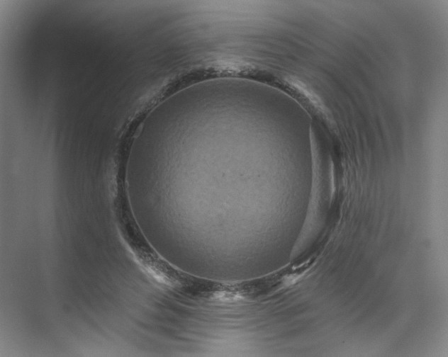 X0000073760496200608031538