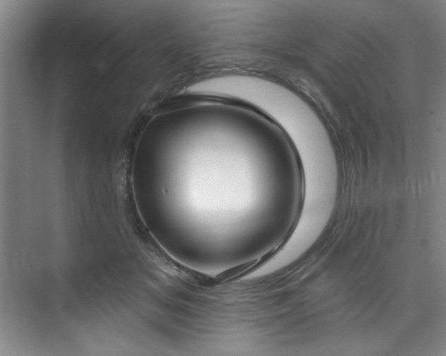 X0000073760509200608031537