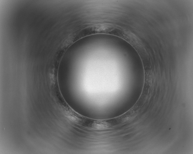 X0000073760510200608031537