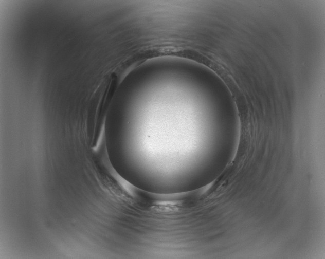 X0000073760512200608031537