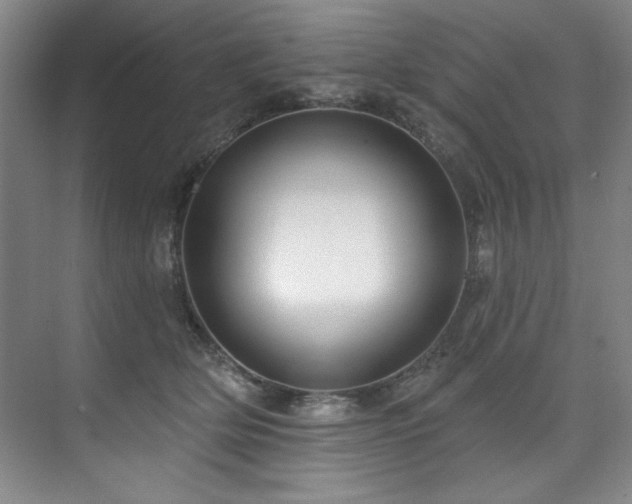 X0000073760514200608031537
