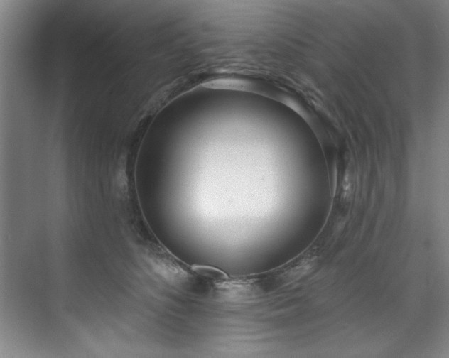 X0000073760516200608031537