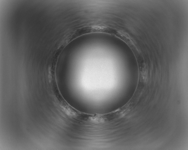 X0000073760520200608031537