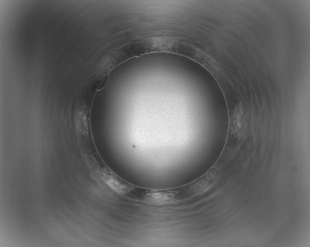 X0000073760522200608031537