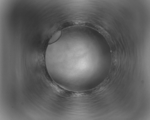 X0000073760523200608031537