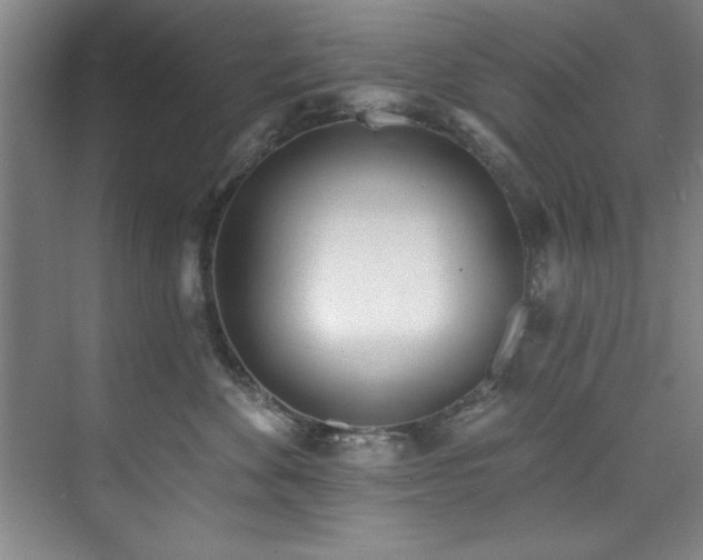 X0000073760524200608031537