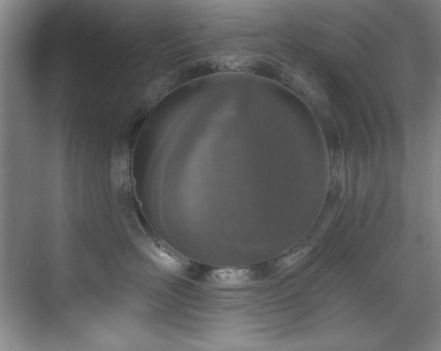 X0000073760526200608031537