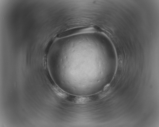 X0000073760527200608031537