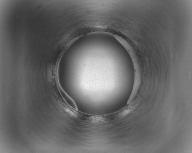 X0000073760528200608031537
