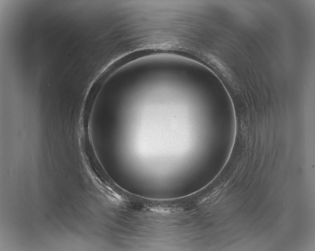 X0000073760532200608031536
