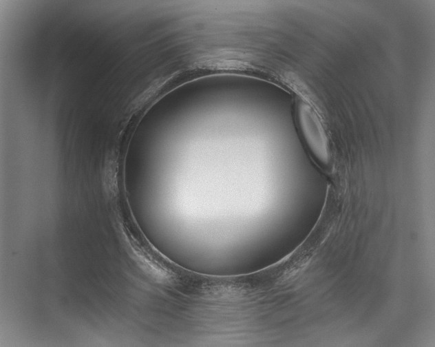 X0000073760533200608031536