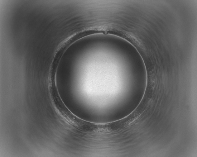 X0000073760536200608031536