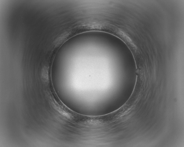 X0000073760537200608031536
