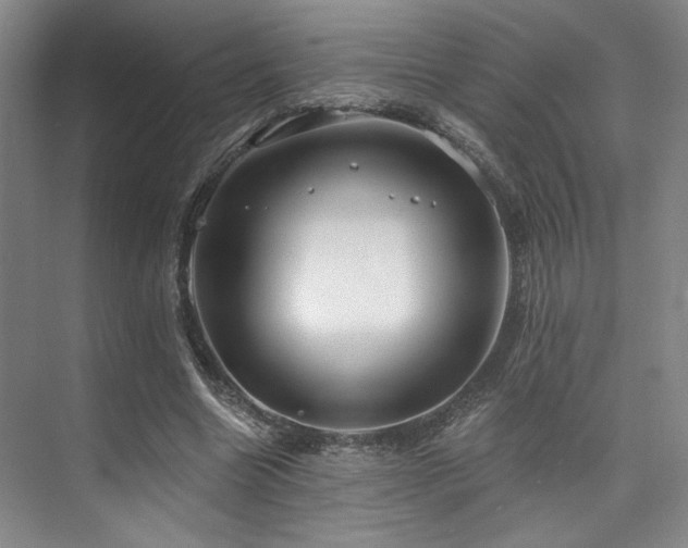 X0000073760538200608031536