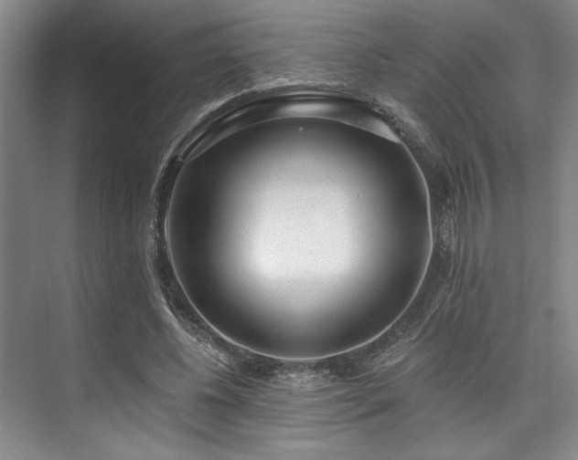 X0000073760540200608031536