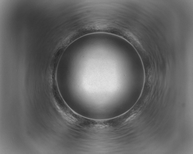 X0000073760542200608031536