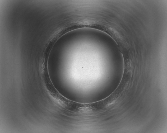 X0000073760544200608031537
