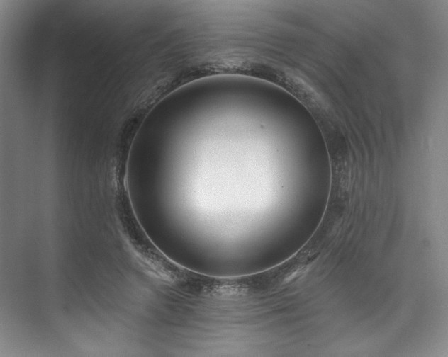 X0000073760546200608031537