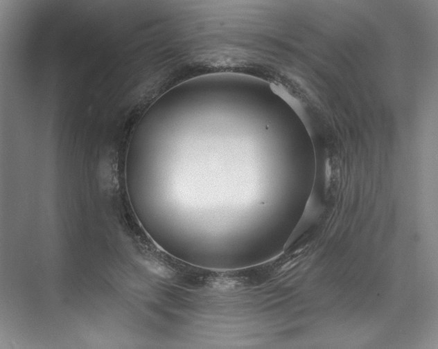 X0000073760547200608031537