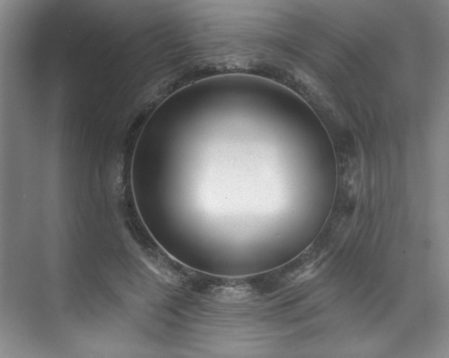 X0000073760548200608031537