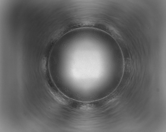 X0000073760550200608031537