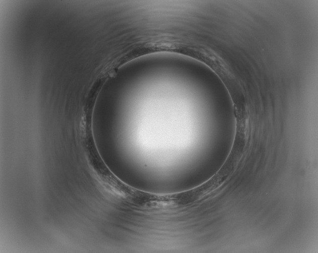 X0000073760552200608031537