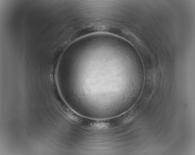 X0000073760553200608031537